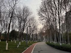 -重庆中央公园(渝北区)