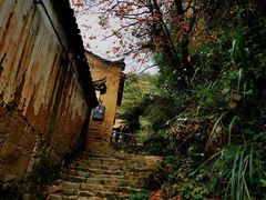 -杨家堂村