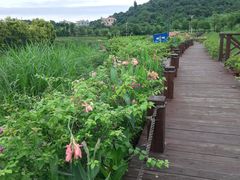 -龙佳生态温泉山庄