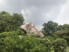 -桃花岛景观公园