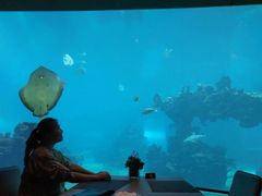 -海棠湾洲际-涛·海底餐厅·美人鱼·自助餐·海底隧道