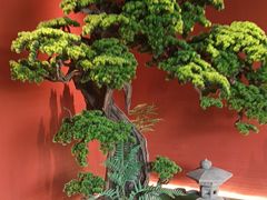 -阿伟海鲜楼·福建菜(延寿店)