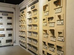 -上海月星家居(澳门路店)