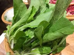 -小饕荟养生火锅(仁和·熙春郡店)