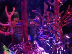 -沈阳海洋探索中心