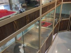 -乐宠宠物店(世纪金源店)