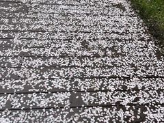 -阳澄湖半岛旅游度假区
