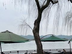 -柳莺湖上·湖景餐厅·江南菜(西湖店)