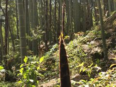 -会稽山峡洞漂流-上青古道