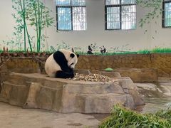 -安吉竹博园