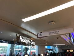 -哈根达斯(天河城店)