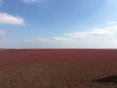 -红海滩国家风景廊道