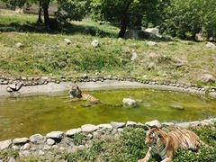 -西安秦岭野生动物园