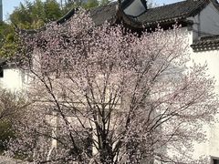 -江宁织造博物馆