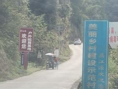-紫鹊界梯田景区