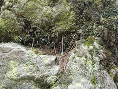 -茅兰沟国家森林公园