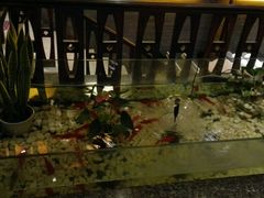 -樱蘭·影院足道·养生SPA(三里屯店)