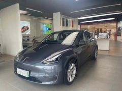 -TESLA 特斯拉(郑州正弘城体验店)