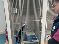 -芭比堂动物医院·犬猫全科·异宠专科(雁塔分院)