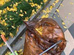 荷包蛋-老地方面馆(思南路店)