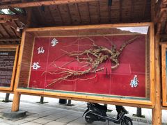 -参仙谷生态旅游度假区