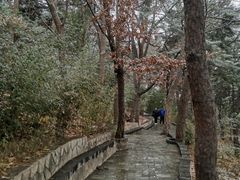 -红螺寺