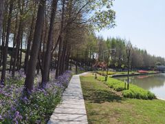 -金山嘴渔村