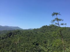 -九龙江国家森林公园