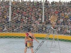 -泉州海丝野生动物世界