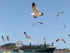-海驴岛(荣成市)