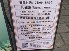 -西双版纳原始森林公园