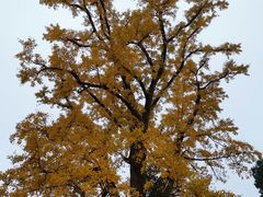 -金堂县云顶石城风景区