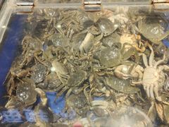 河蟹-渔公码头海货全海鲜自助(海滨旅游路店)