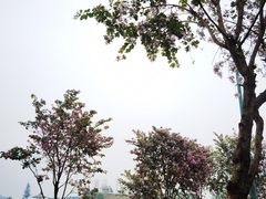 -海珠湖公园