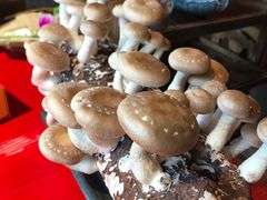 -谭鸭血老火锅(漳州路店)