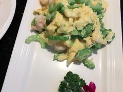 -云中小雅
