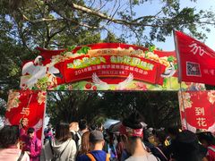 -大湾区中央湿地公园