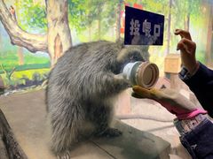 -大连圣亚海洋世界
