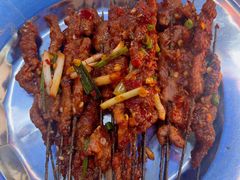 -杨记烤肉老店