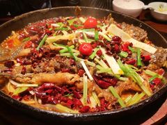 -老板恋上鱼(高新万达店)