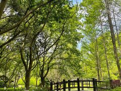 -杭州半山国家森林公园