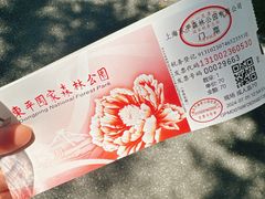 -东平国家森林公园