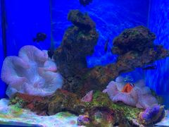 -多彩贵州城极地海洋世界