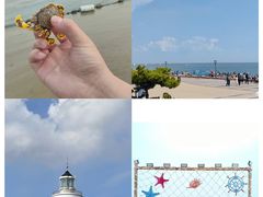 -巧克力渔家.小船海鲜胶东菜(万平口店)