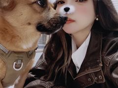 -伟伟宠物医院·CT影像中心·瑞派犬猫综合性门诊(汉口总院)