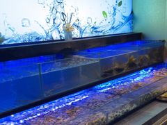 -透明思烤·自助烤肉海鲜火锅(东部星悦天地店)