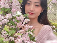 -太湖湖滨国家湿地公园-停车场