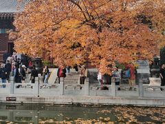 -香山公园