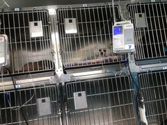 -甄爱宠物医院(疏影路店)