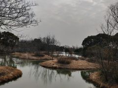 -梁鸿国家湿地公园